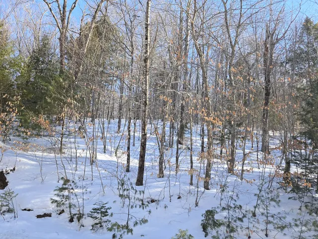 $79,000 | Lot Ii Hodge Hill Drive, Hartford, ME 04220