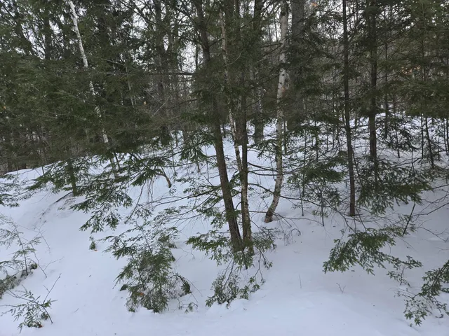 $79,000 | Lot Ii Hodge Hill Drive, Hartford, ME 04220