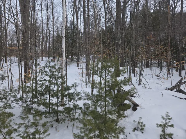 $79,000 | Lot Ii Hodge Hill Drive, Hartford, ME 04220