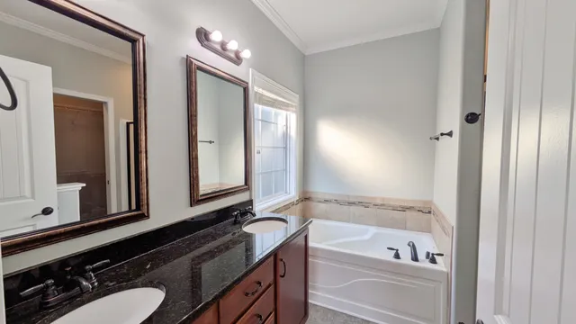 a bathroom with a tub a double vanity sink and mirror