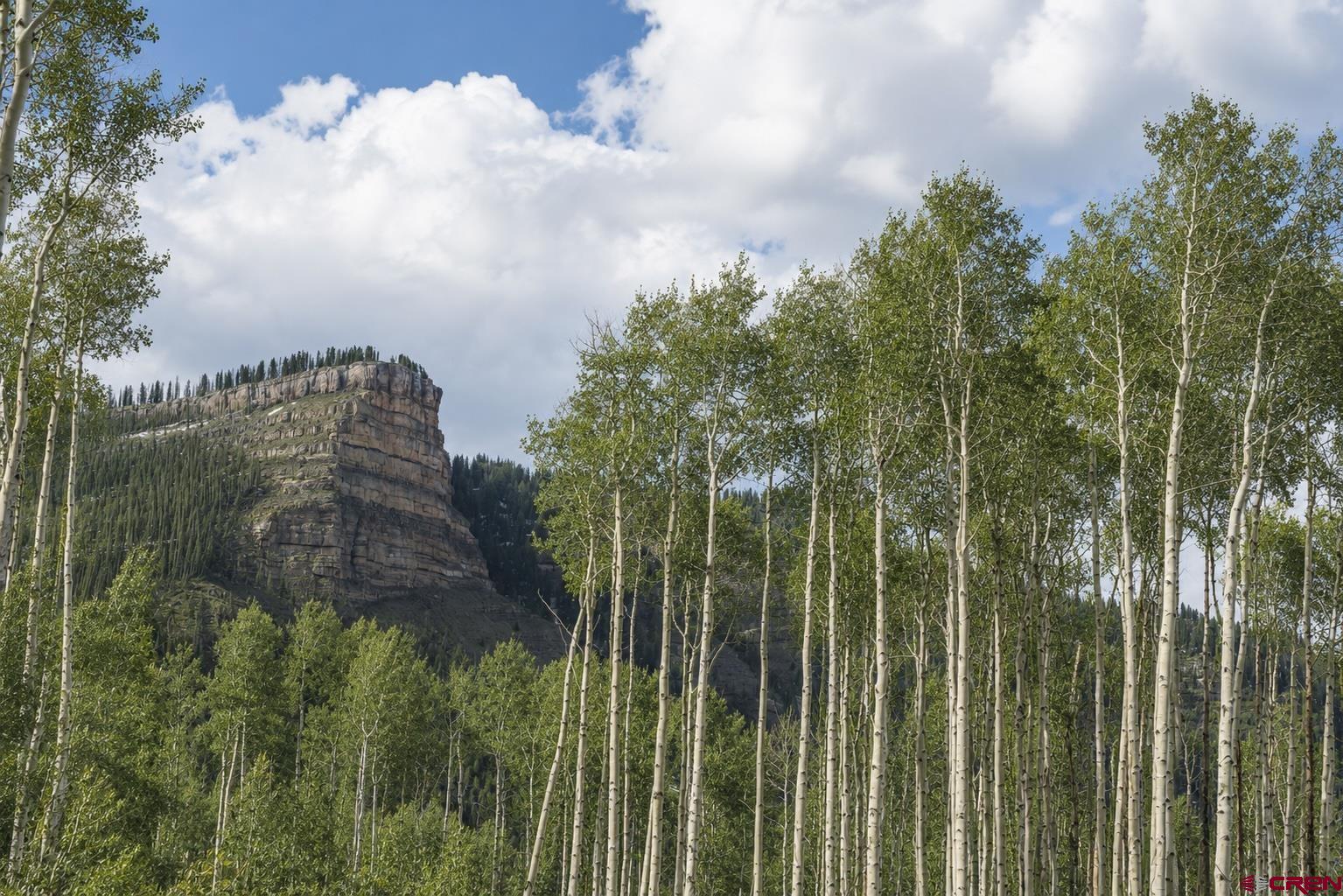 83 Long Story Road Durango, CO 81301 - Photo 5 of 12