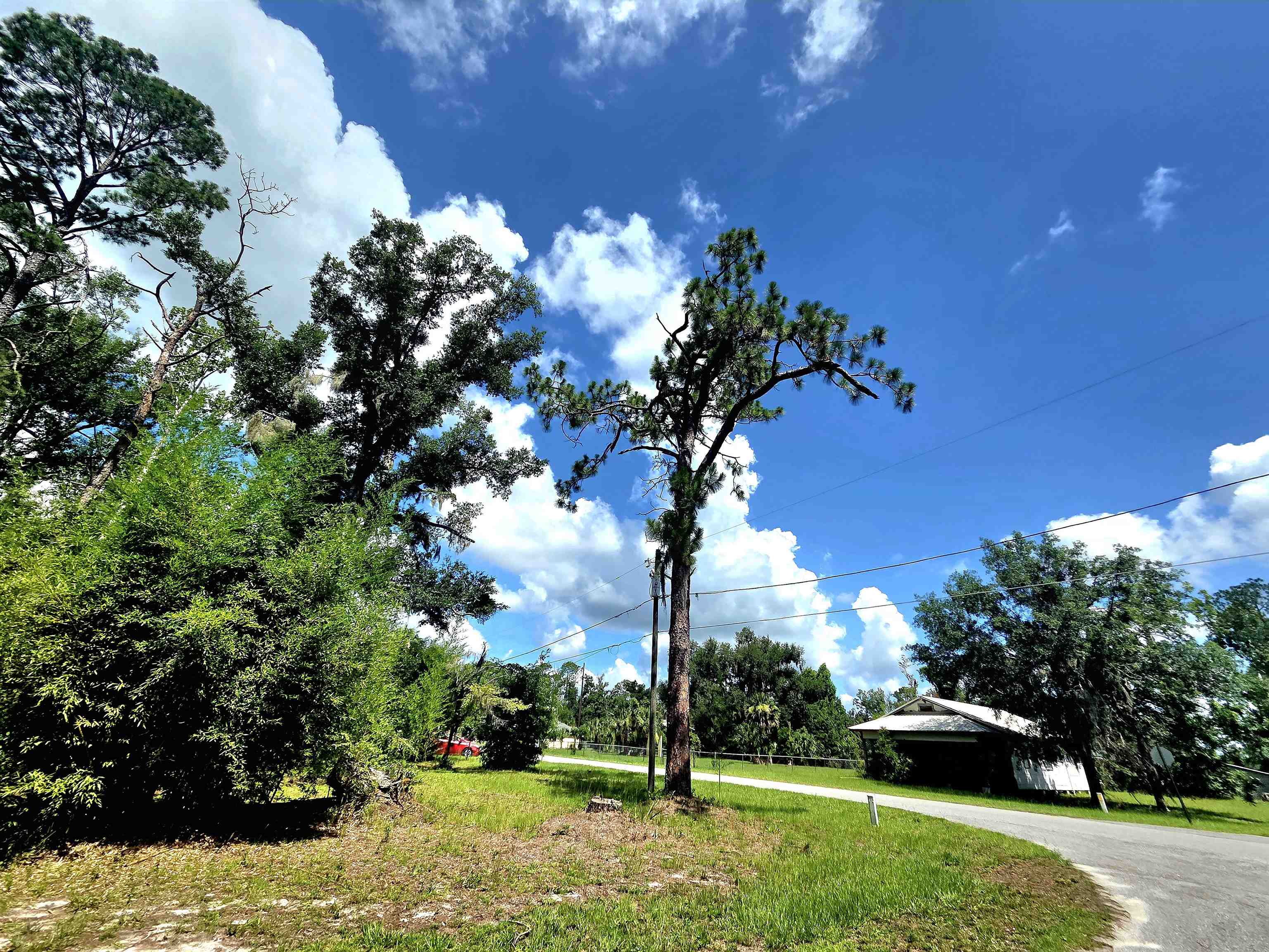 Lot 1 North Washington Street Perry, FL 32347 - Photo 6 of 8