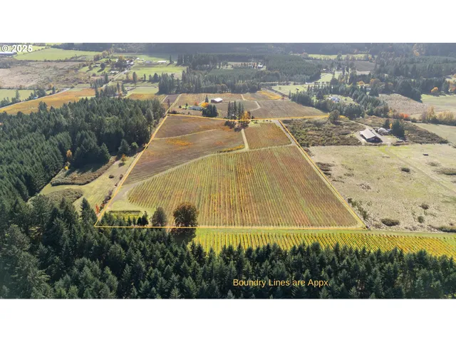$1,300,000 | 25219 High Pass Road, Junction City, OR 97448