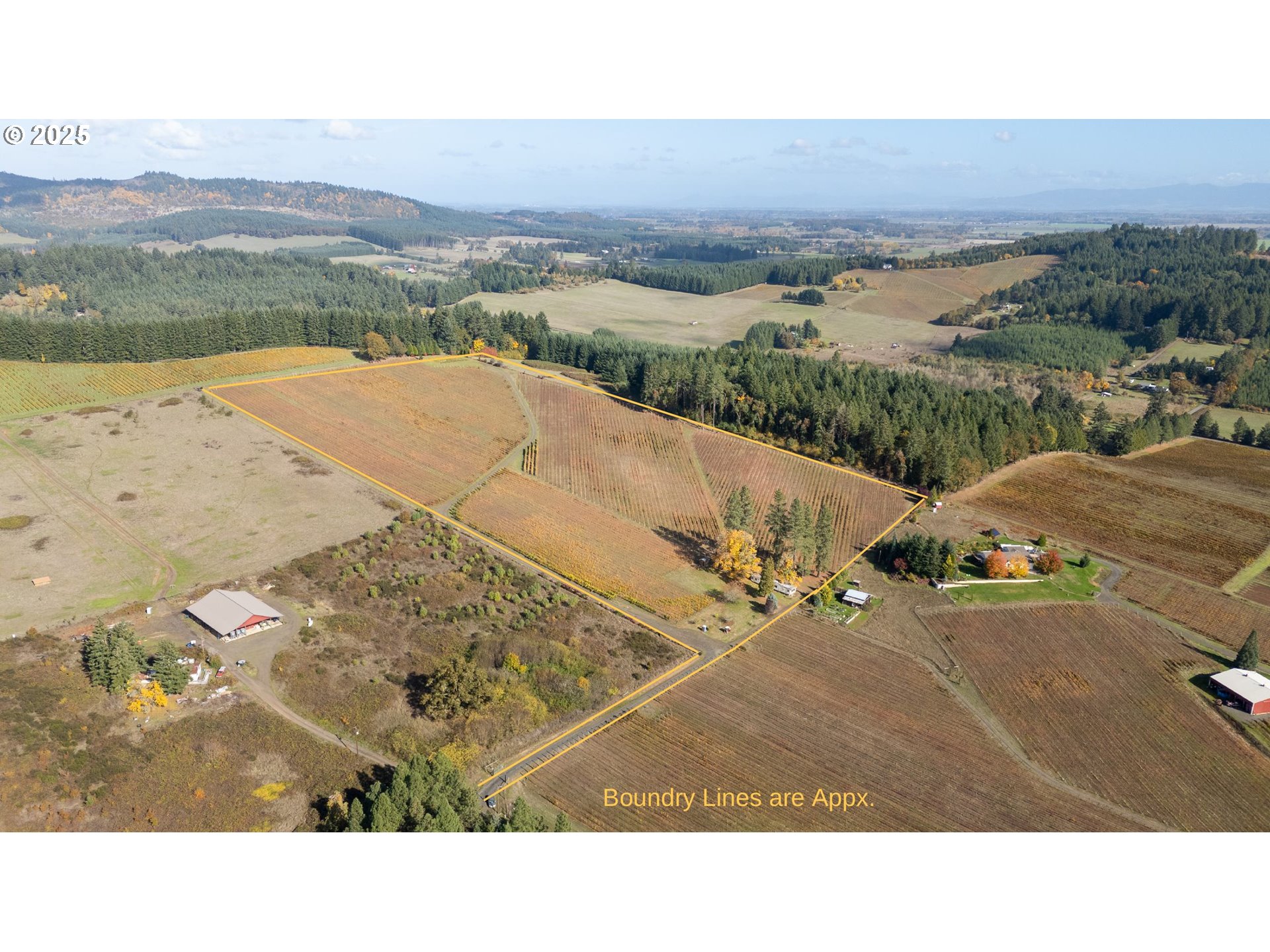 25219 High Pass Road Junction City, OR 97448 - Photo 13 of 23