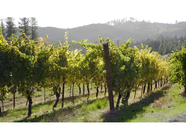 $1,300,000 | 25219 High Pass Road, Junction City, OR 97448