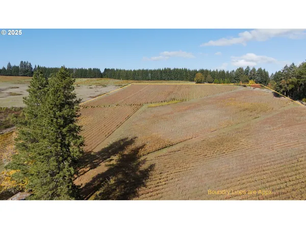 $1,300,000 | 25219 High Pass Road, Junction City, OR 97448