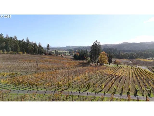 $1,300,000 | 25219 High Pass Road, Junction City, OR 97448