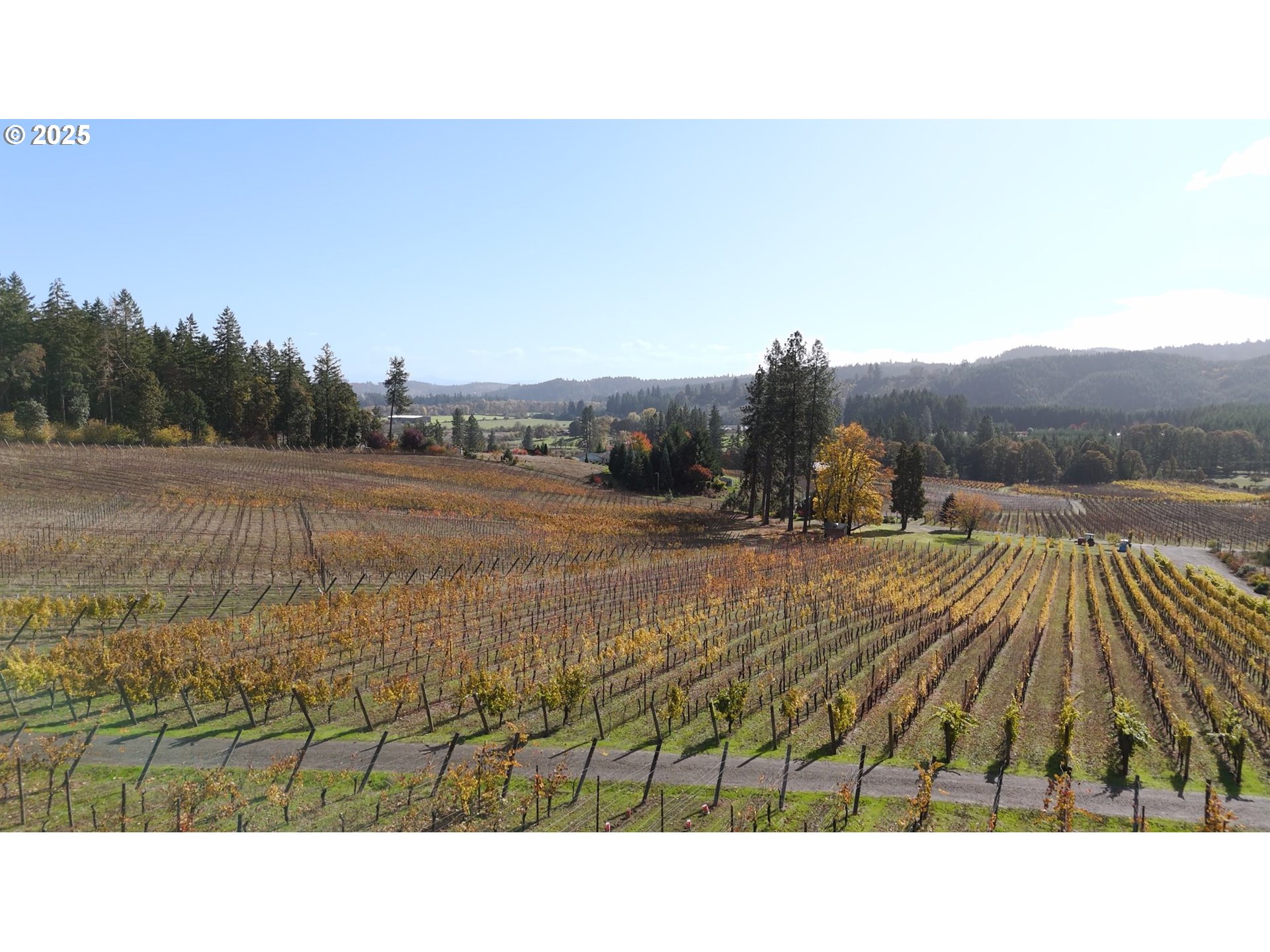 25219 High Pass Road Junction City, OR 97448 - Photo 16 of 23