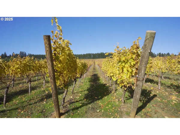 $1,300,000 | 25219 High Pass Road, Junction City, OR 97448