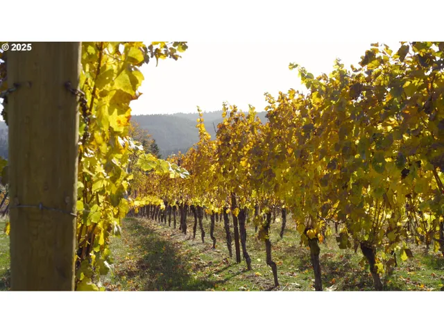 $1,300,000 | 25219 High Pass Road, Junction City, OR 97448