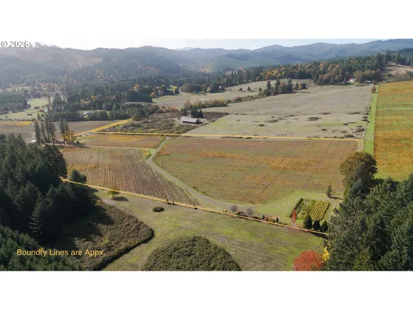 $1,300,000 | 25219 High Pass Road, Junction City, OR 97448