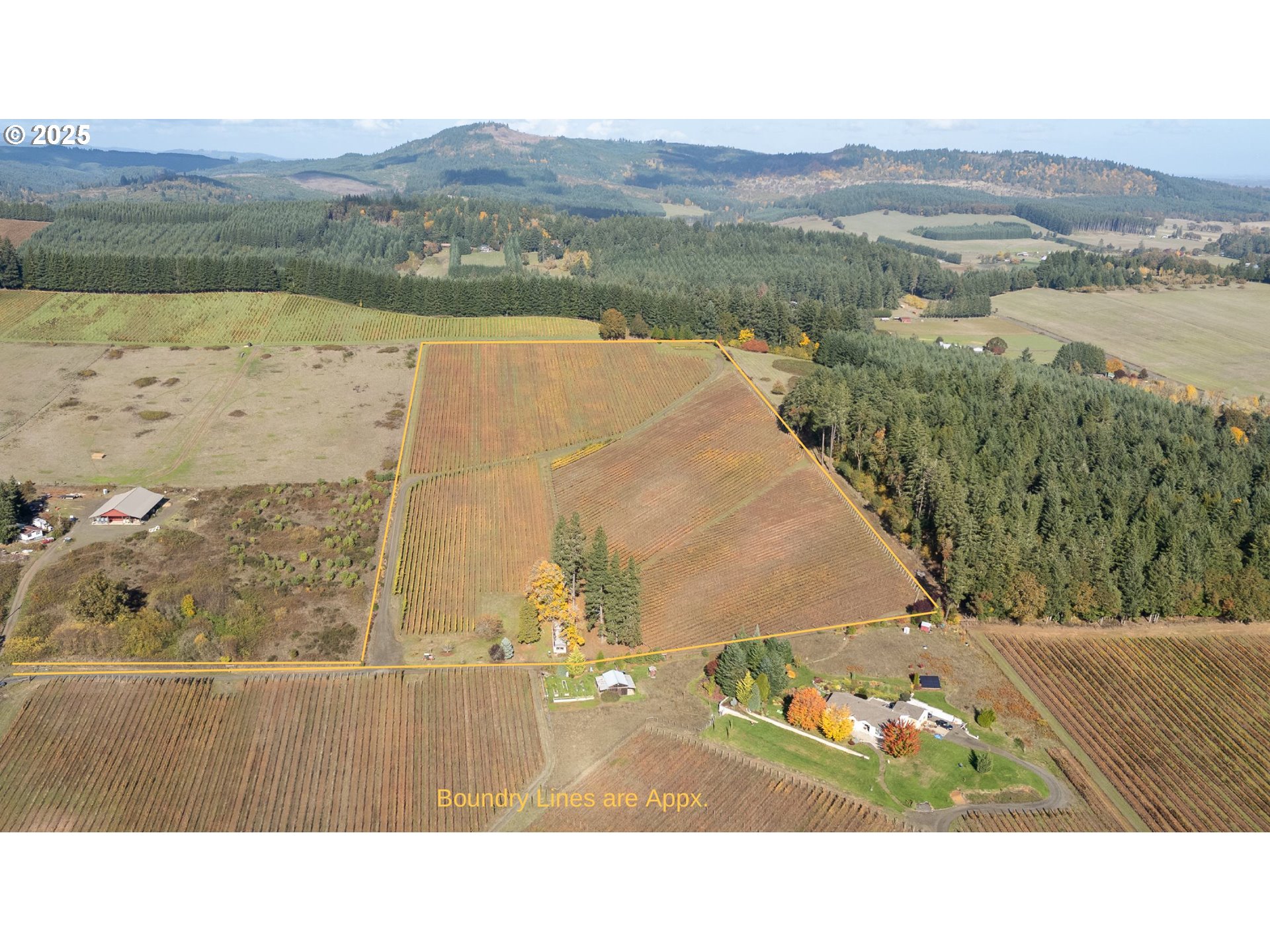 25219 High Pass Road Junction City, OR 97448 - Photo 2 of 23