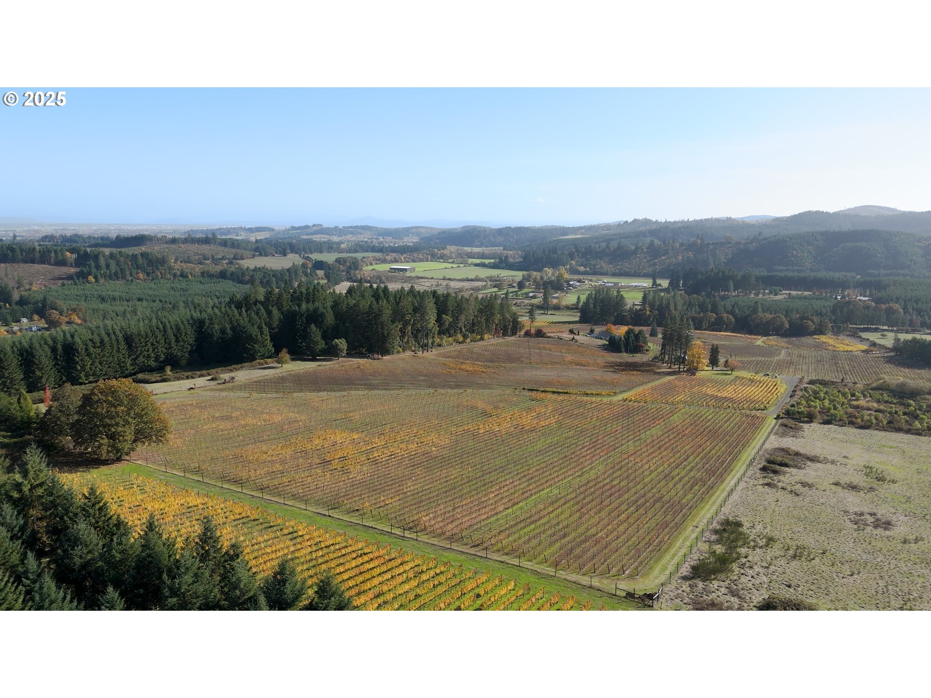 25219 High Pass Road Junction City, OR 97448 - Photo 21 of 23