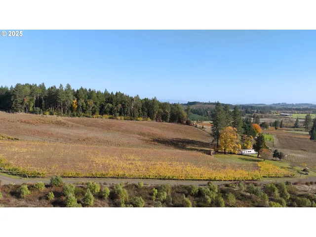 $1,300,000 | 25219 High Pass Road, Junction City, OR 97448