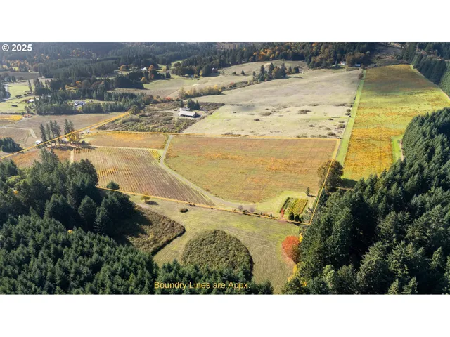 $1,300,000 | 25219 High Pass Road, Junction City, OR 97448