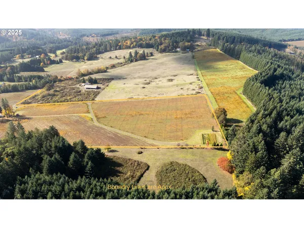 $1,300,000 | 25219 High Pass Road, Junction City, OR 97448