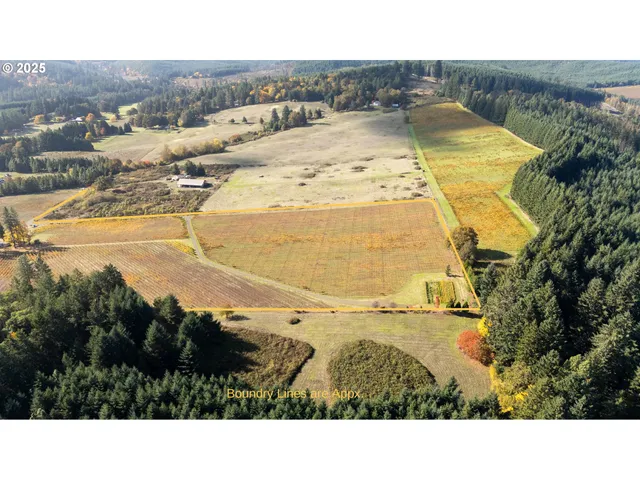 $1,300,000 | 25219 High Pass Road, Junction City, OR 97448