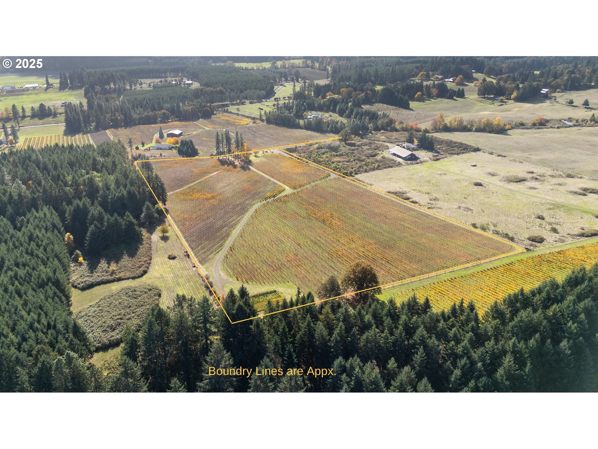 25219 High Pass Road Junction City, OR 97448 - Photo 5 of 23