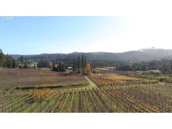 $1,300,000 | 25219 High Pass Road, Junction City, OR 97448