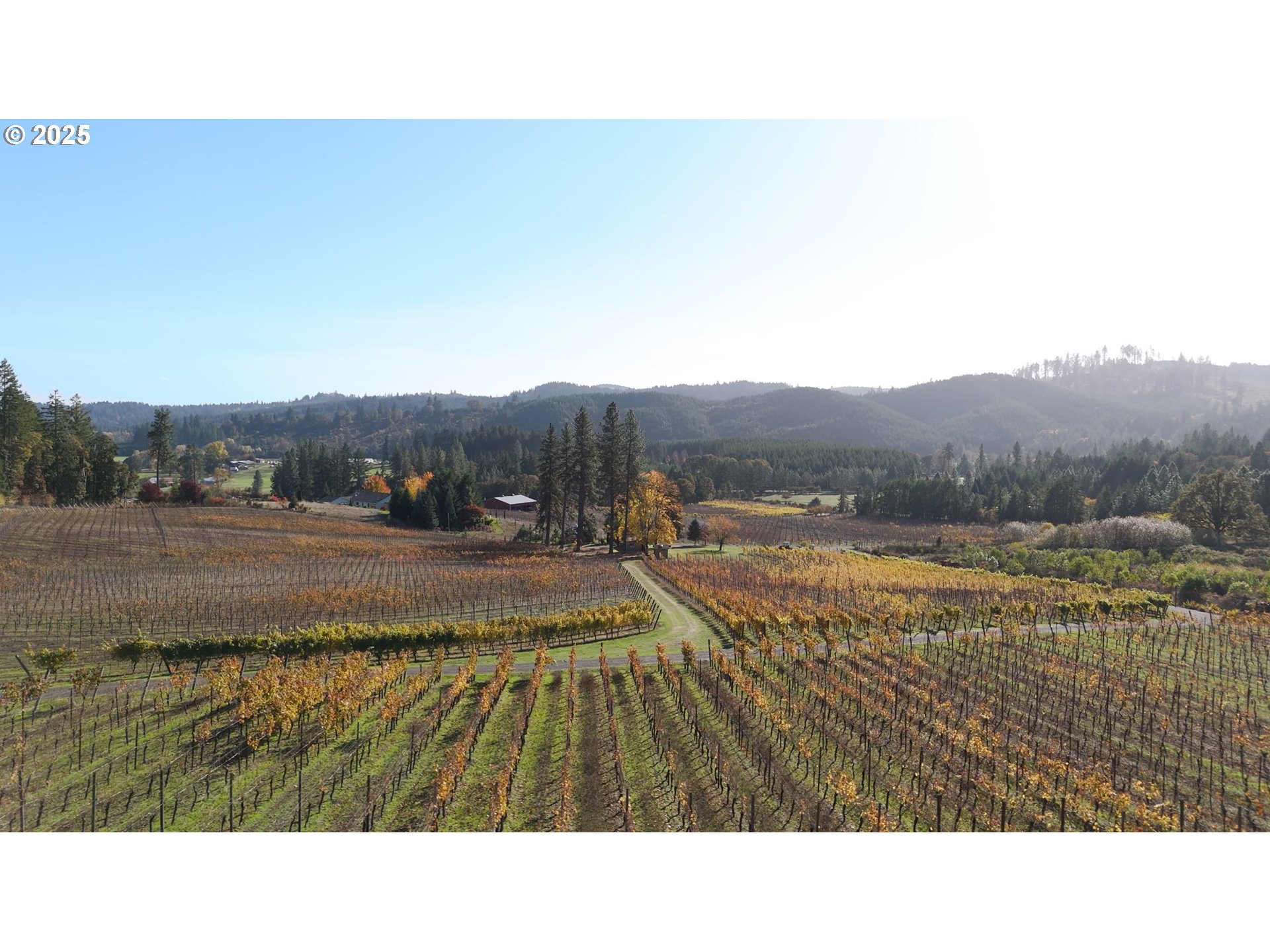 25219 High Pass Road Junction City, OR 97448 - Photo 7 of 23