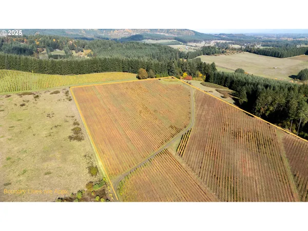 $1,300,000 | 25219 High Pass Road, Junction City, OR 97448
