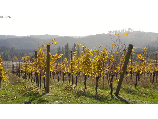 $1,300,000 | 25219 High Pass Road, Junction City, OR 97448