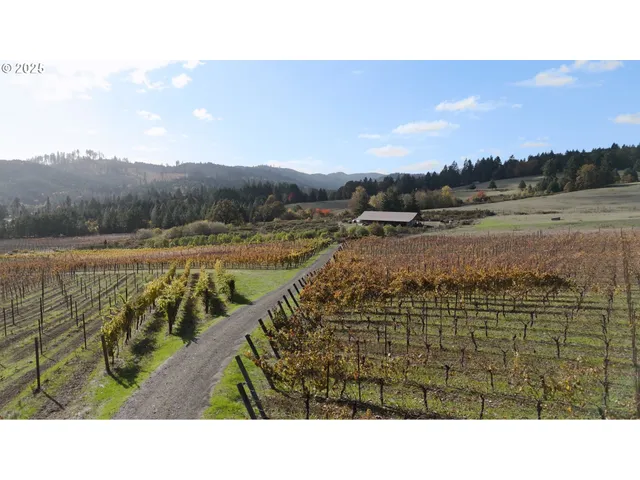$1,300,000 | 25219 High Pass Road, Junction City, OR 97448