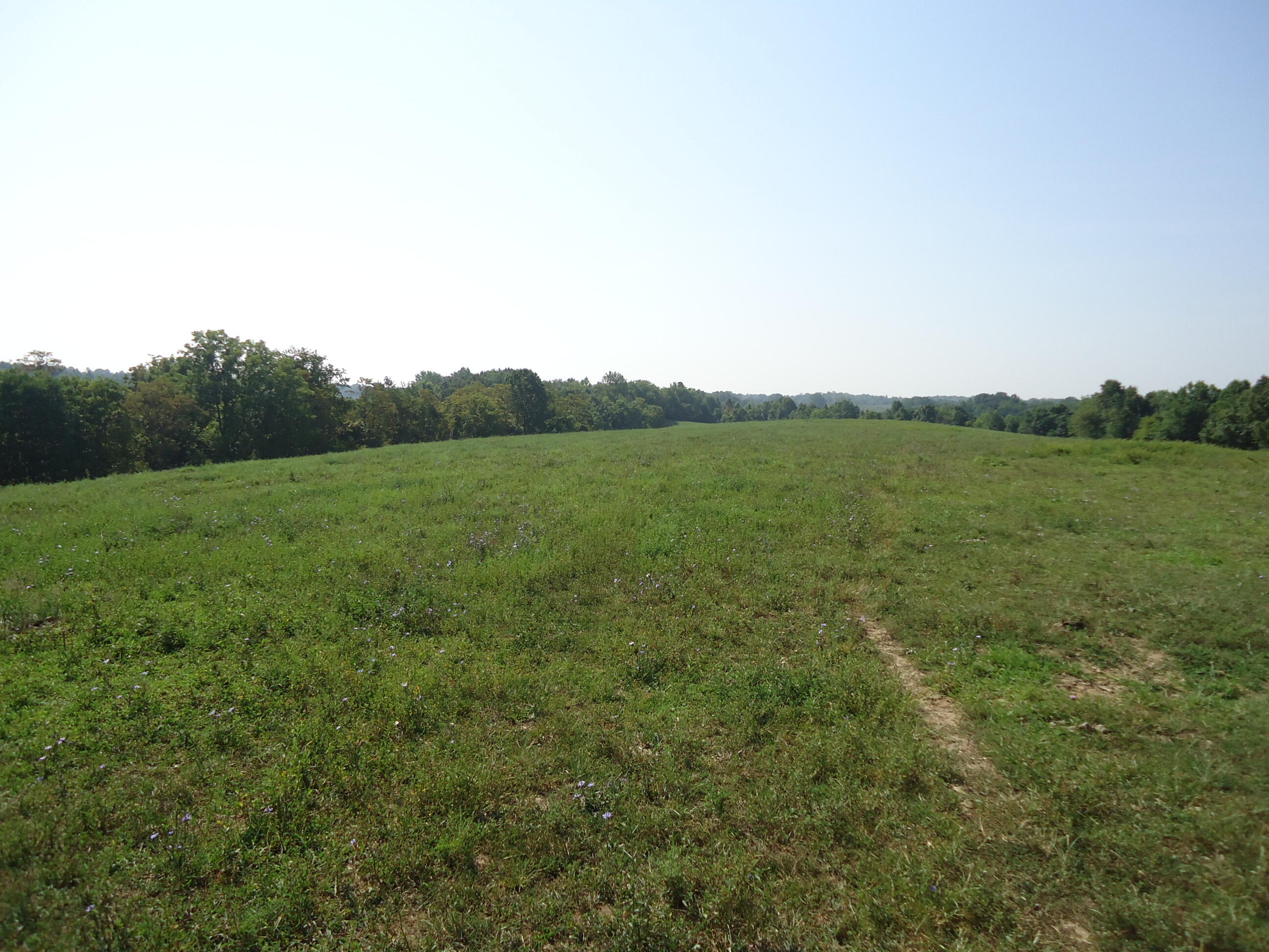 1 Sugar Creek Road Lancaster, KY 40444 - Photo 28 of 36 DSC01886
