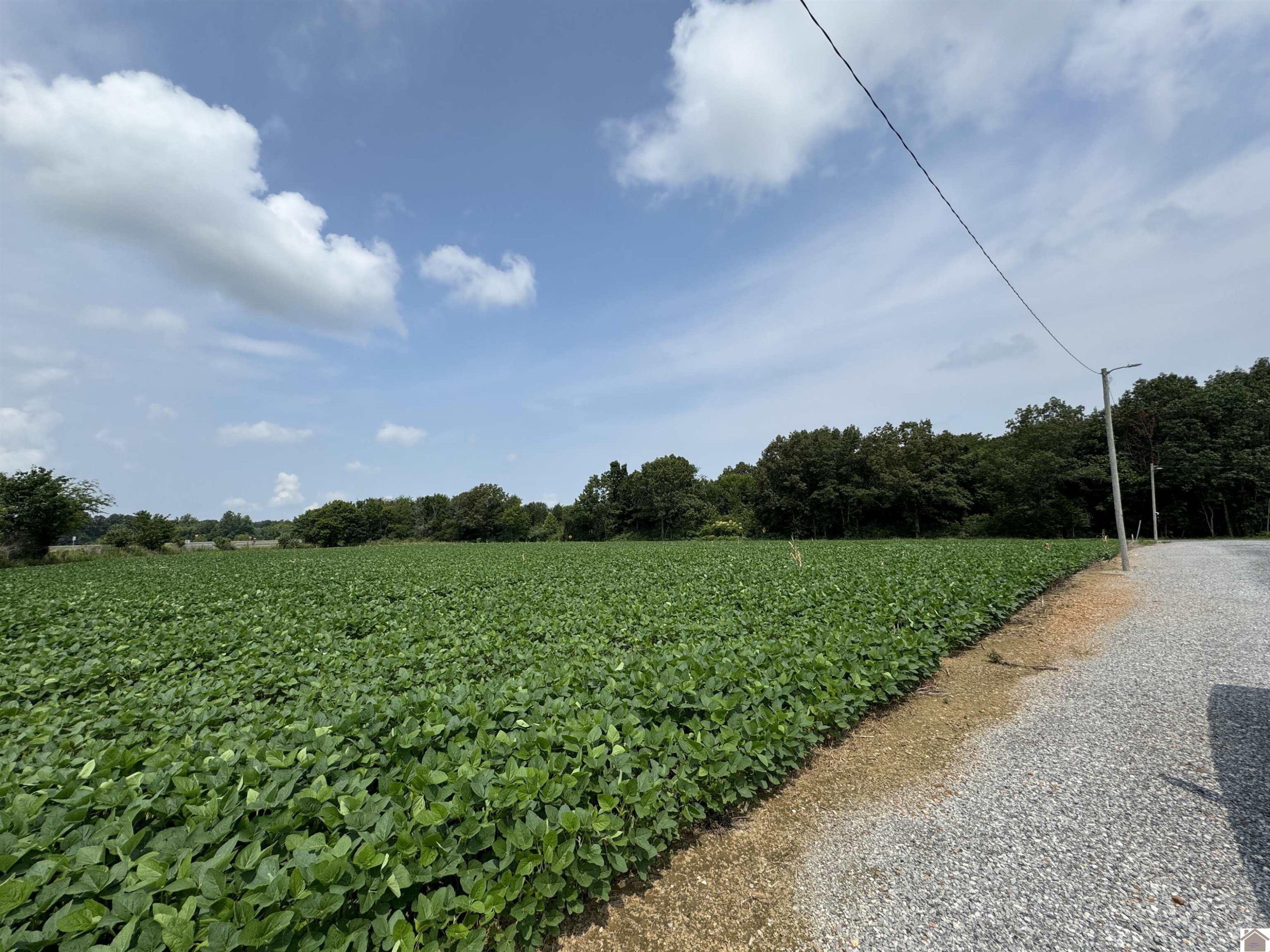 0 Spur & Hitte Road Benton, KY 42025 - Photo 11 of 13 Photo 11