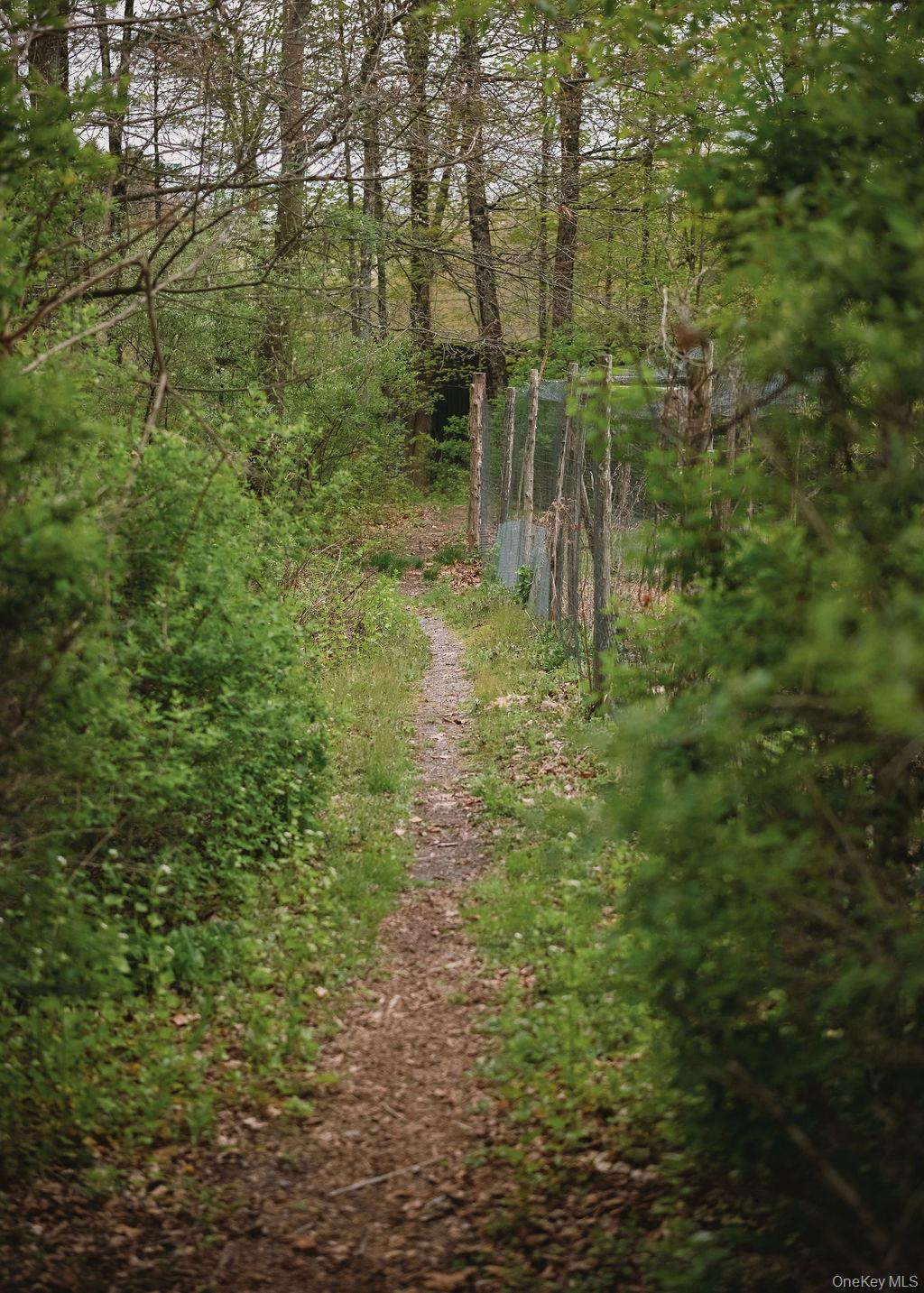 92 Fiddlers Bridge Road Staatsburg, NY 12580 - Photo 27 of 32 Trails through the woods