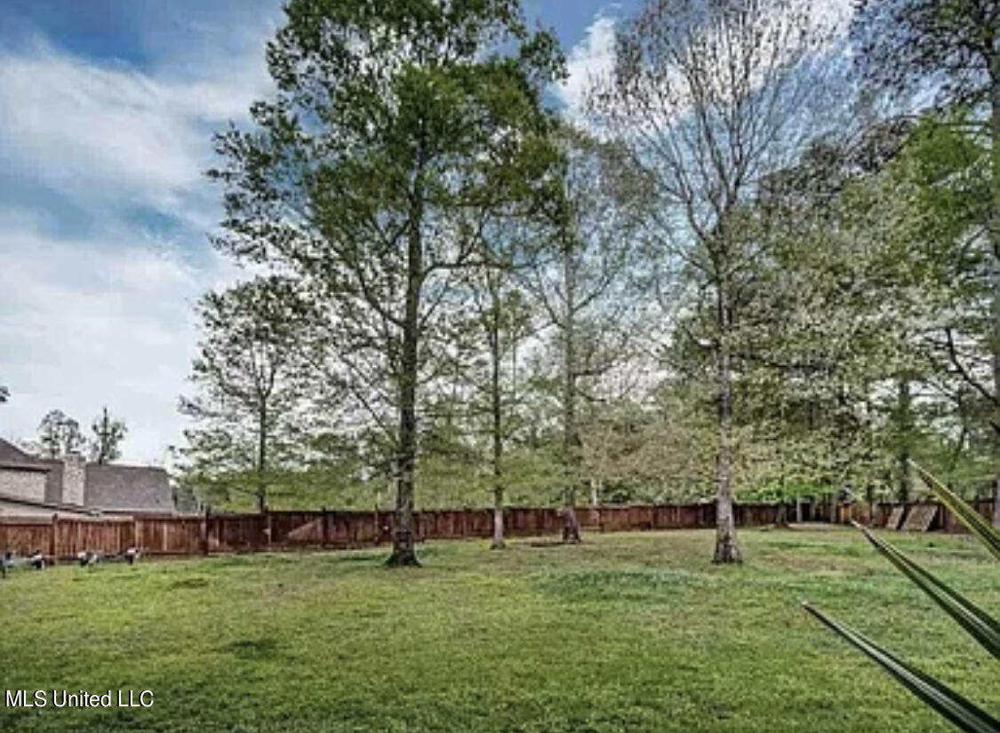 718 Inheritance Place Flowood, MS 39232 - Photo 8 of 9 AB157B51-4AF3-4877-B6D6-5632AE490DEA