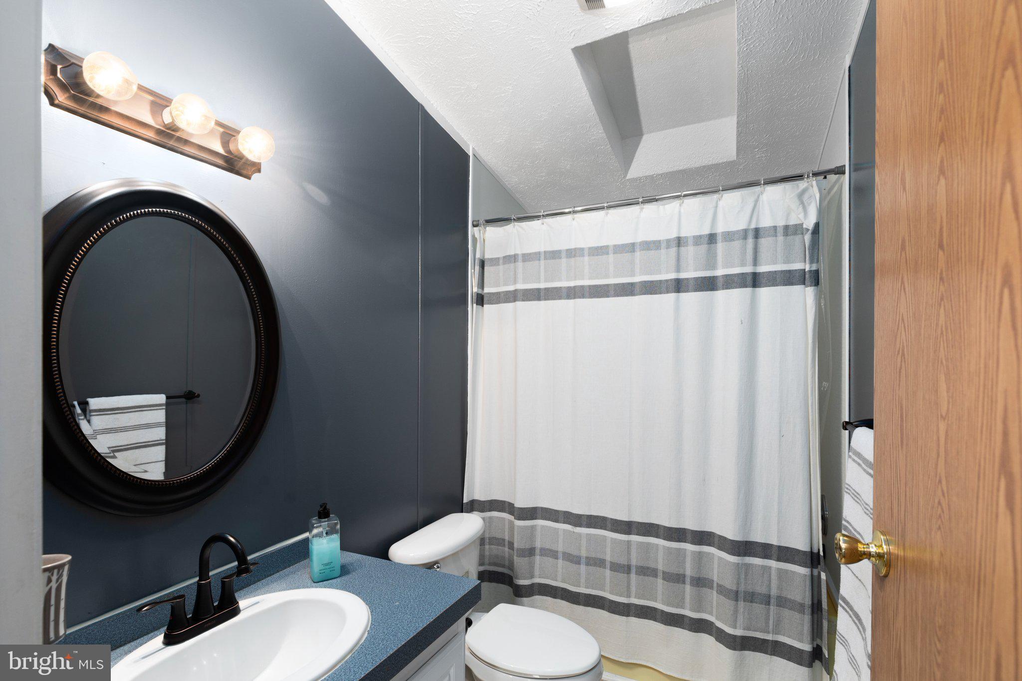 4041 Conowingo Road, Unit 29A Darlington, MD 21034 - Photo 18 of 21 a bathroom with a sink a toilet and a mirror