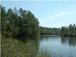 a view of a lake in middle of forest