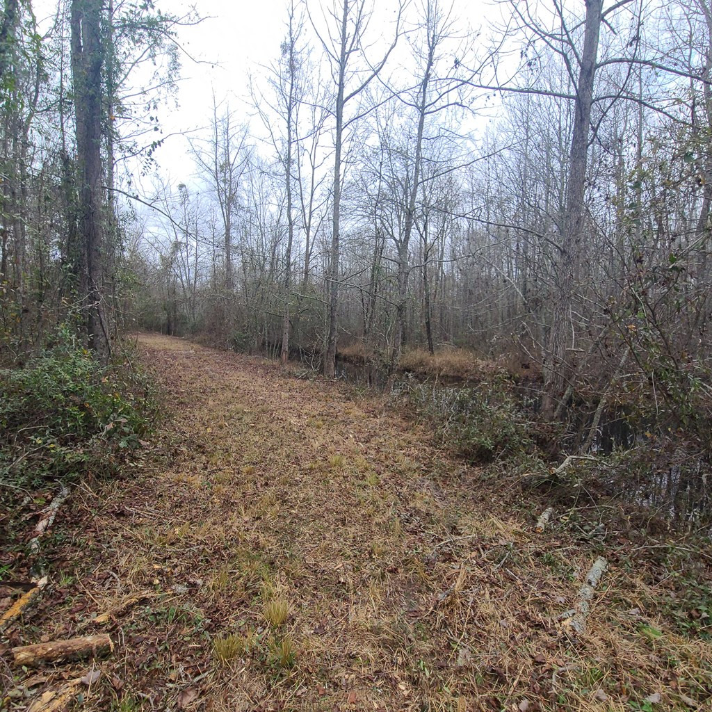 600 Main Street Jackson, SC 29831 - Photo 12 of 28