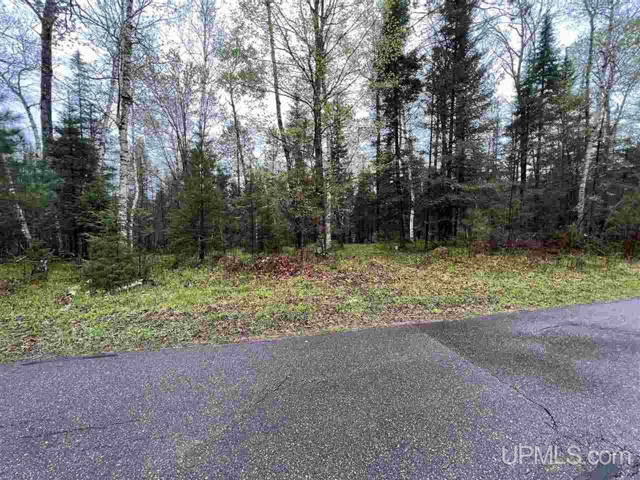 370 South Shore Road Crystal Falls, MI 49920 - Photo 7 of 9