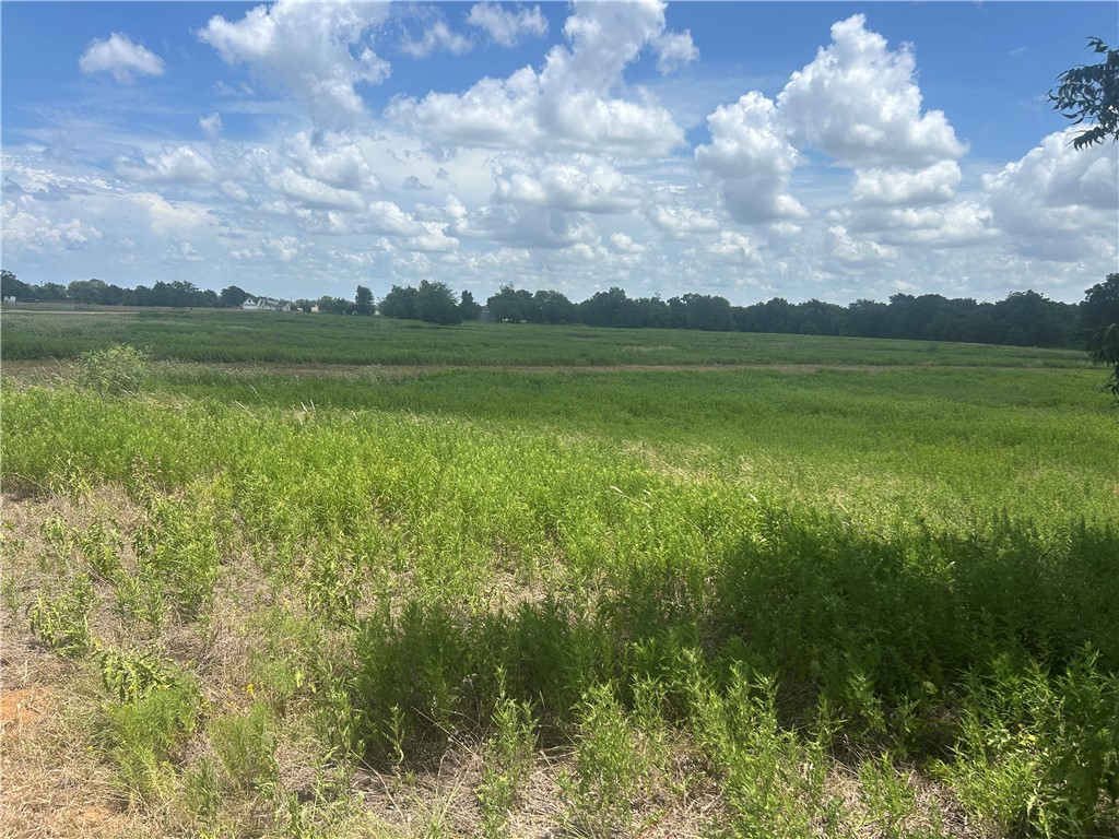 4 Hudson Farms Road Hearne, TX 77859 - Photo 10 of 11 Gallery Image 10