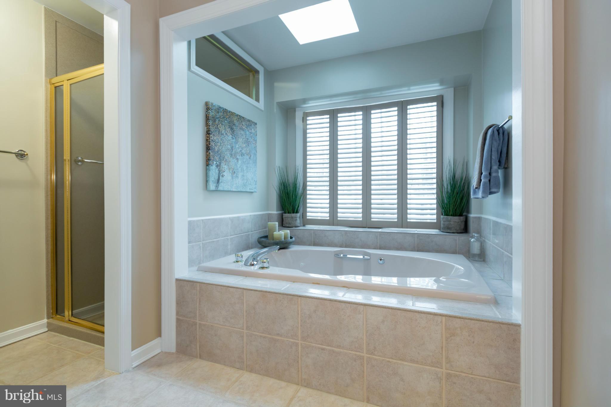 805 Ridge Drive McLean, VA 22101 - Photo 17 of 30 Master Bath