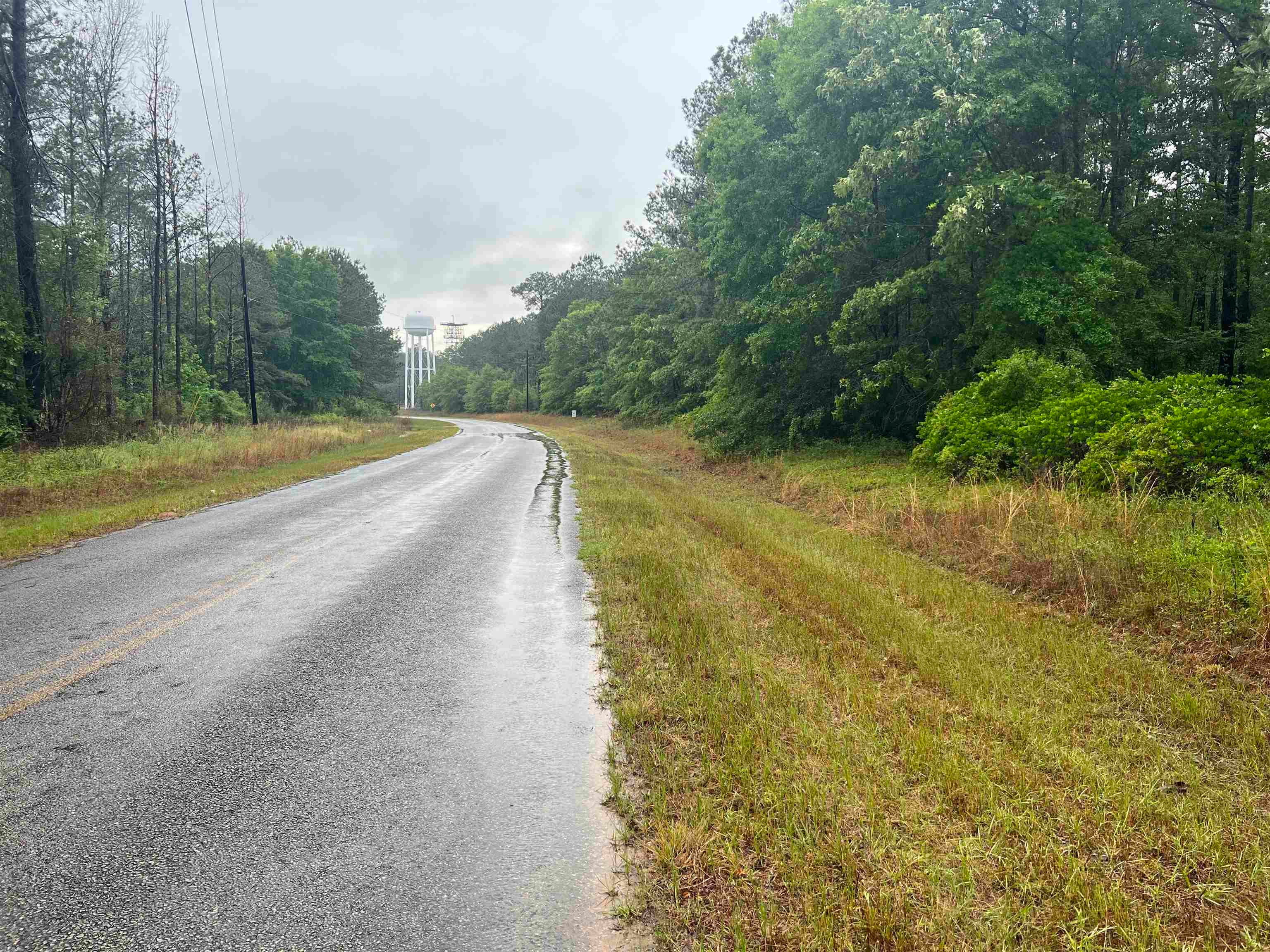 6.54-ac Boykin Road Red Level, AL 36474 - Photo 4 of 9 Gallery Image 4