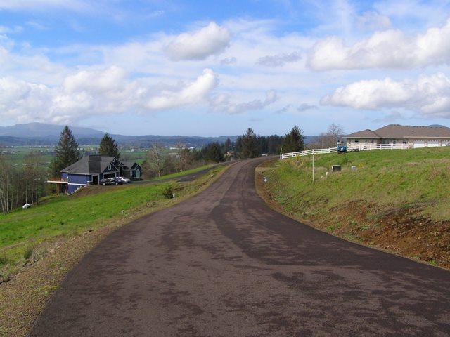 Lot 27 Skyview Road Tillamook, OR 97141 - Photo 8 of 12 P3180348.JPG