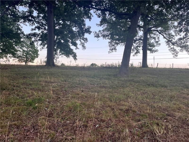 Lot #3 Saxonburg Road Butler, PA 16002 - Photo 2 of 4 a view of dirt field with large trees