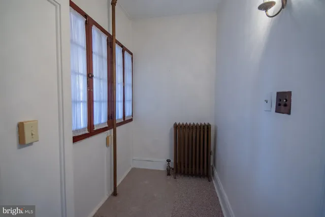 a view of a backyard with plants and large trees