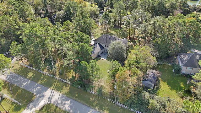 a picture of flowers