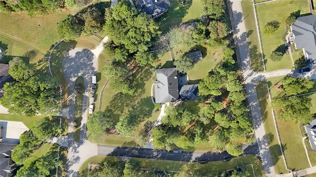 a view of a big yard with potted plants and large trees