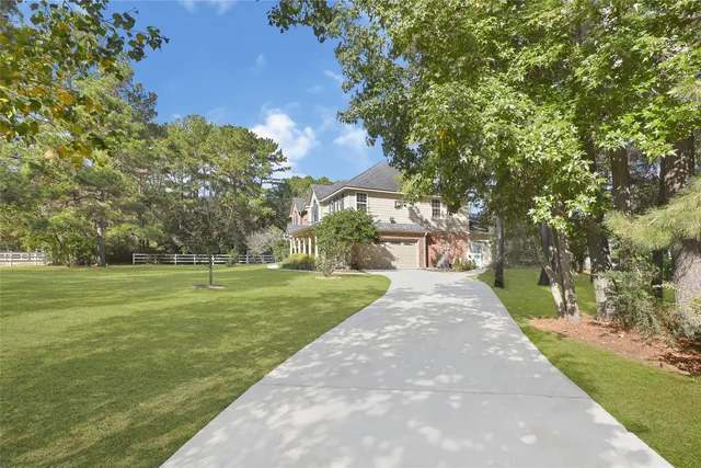 a view of a park with large trees