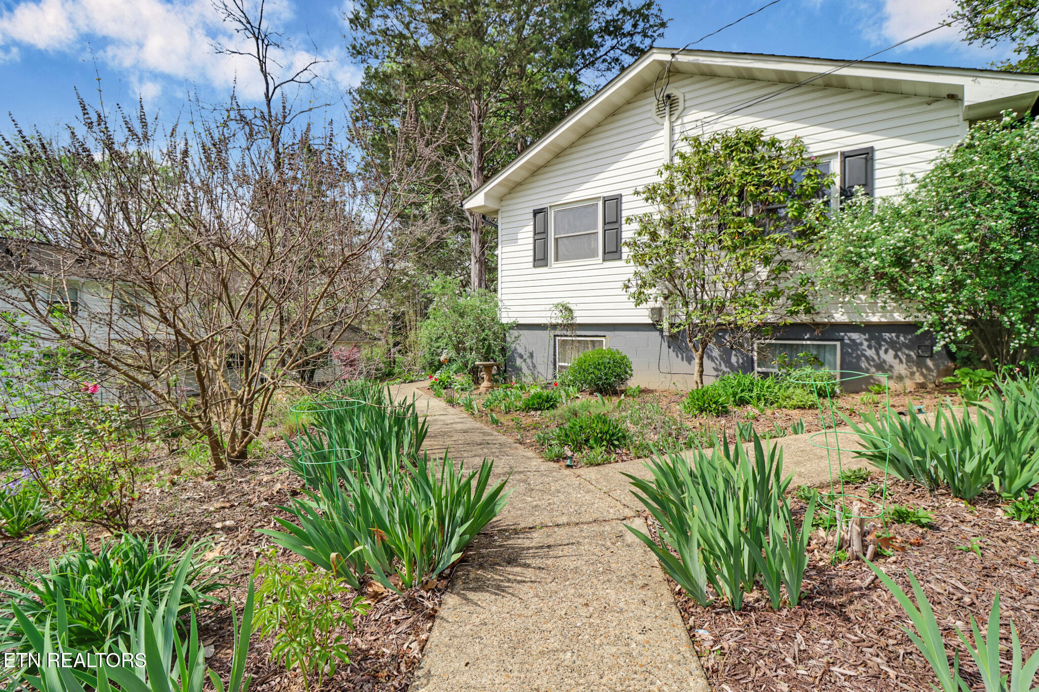 101 Tabor Road Oak Ridge, TN 37830 - Photo 3 of 34 if1a9933-if1a9937