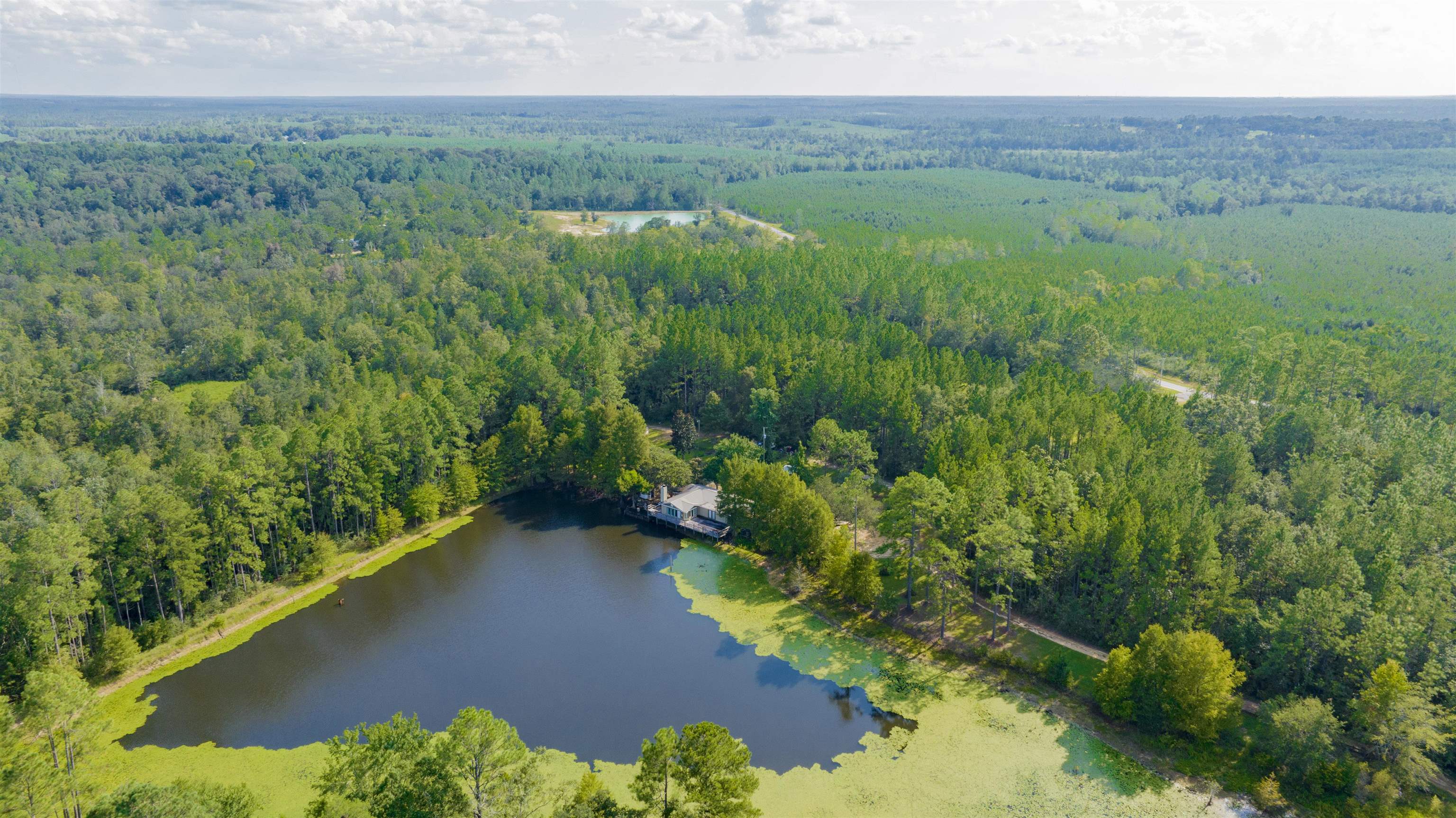 40680 Dogwood Fork Road Bay Minette, AL 36507 - Photo 9 of 41