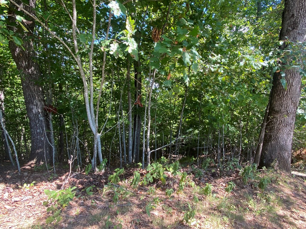 115 Vance Mountain Road Murphy, NC 28906 - Photo 7 of 13