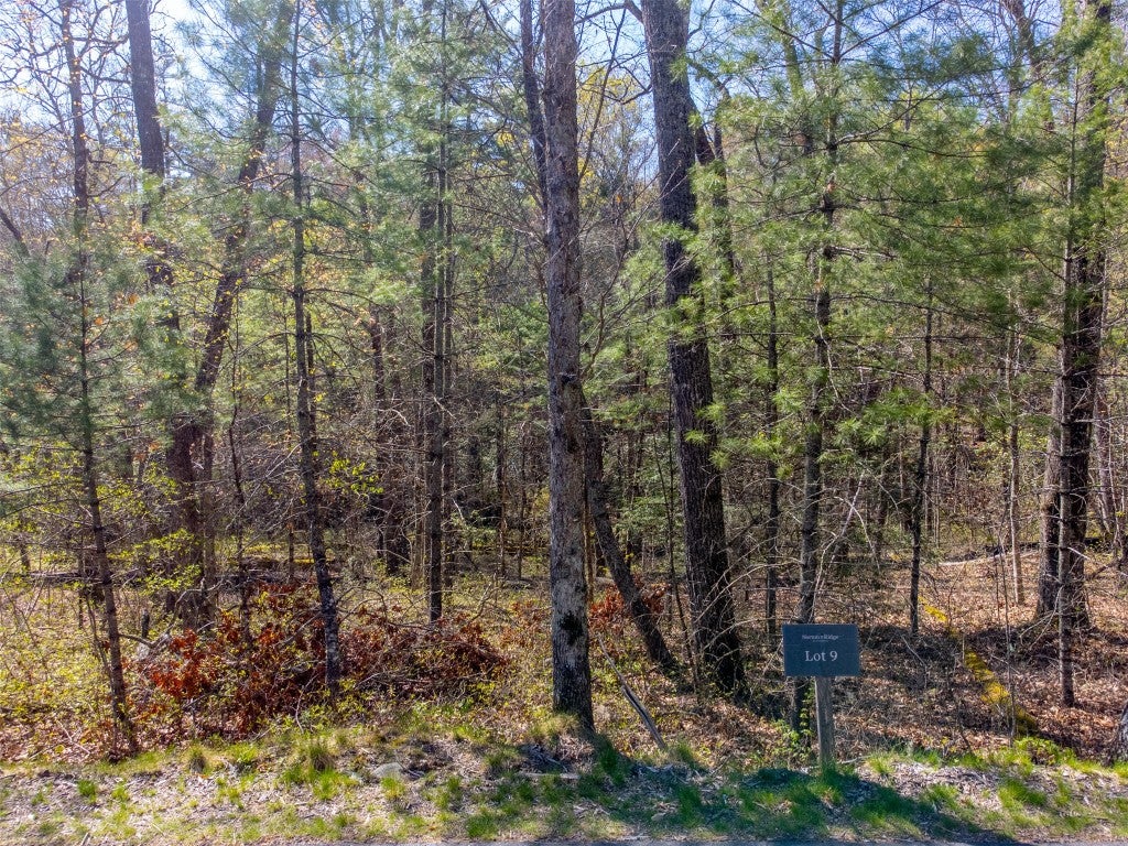 9 Norton Road Cashiers, NC 28717 - Photo 2 of 20 Gallery Image 2