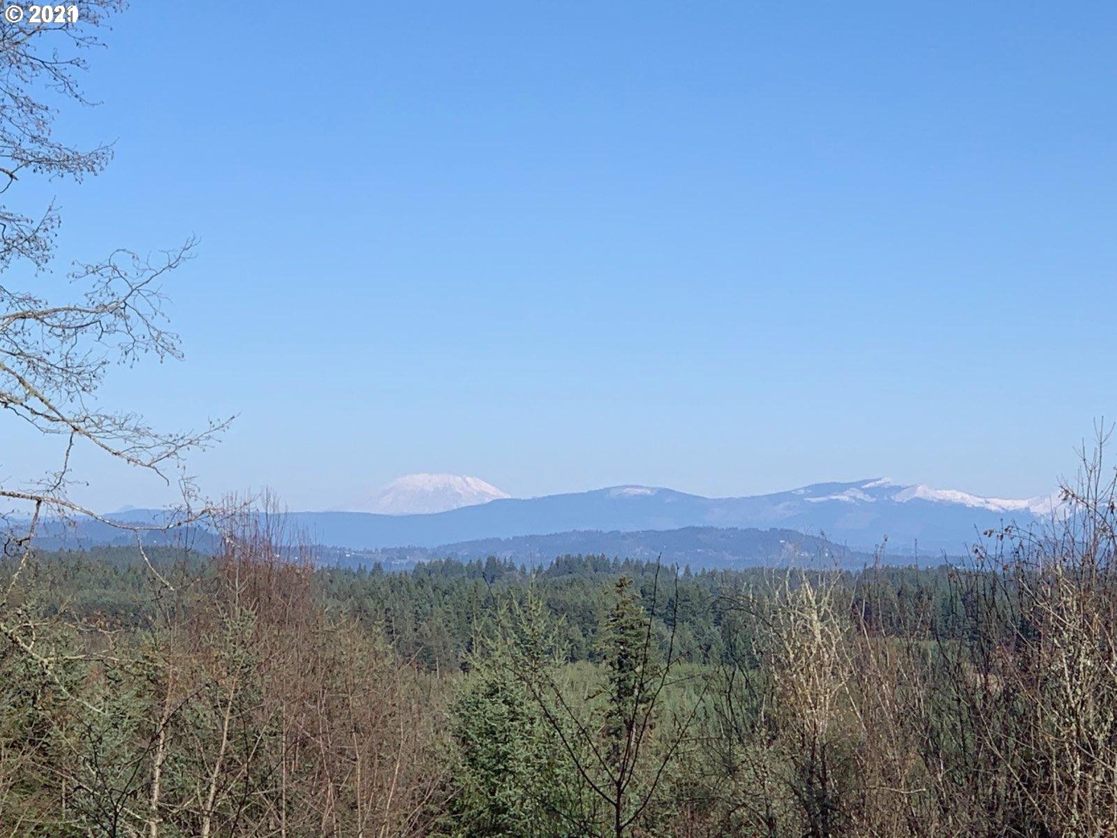23200 South Ridge Road Beavercreek, OR 97004 - Photo 1 of 11 Gallery Image 1
