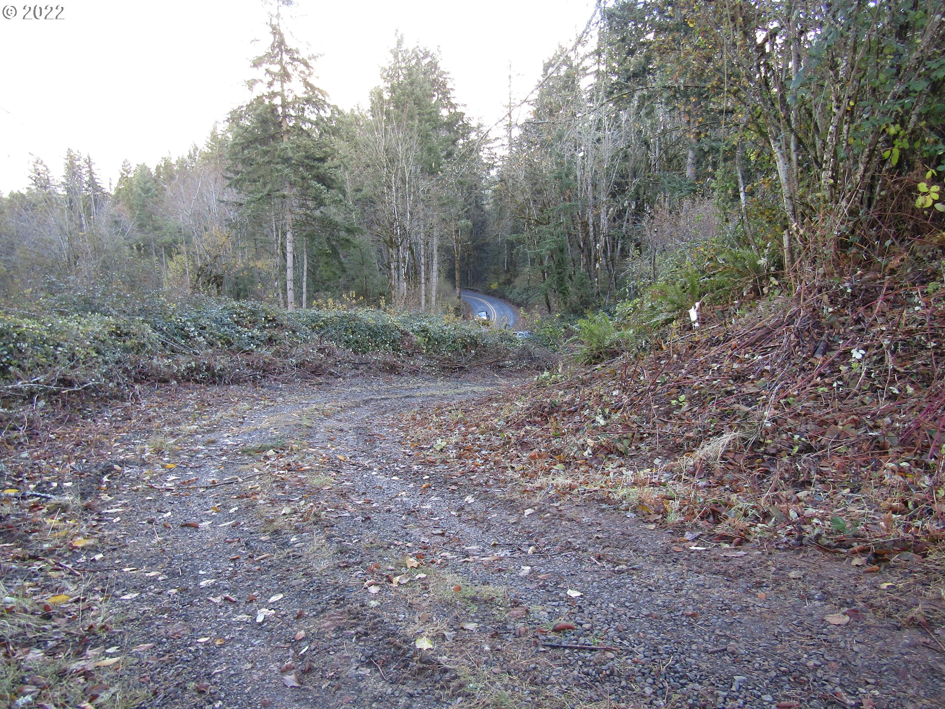 23200 South Ridge Road Beavercreek, OR 97004 - Photo 5 of 11 Gallery Image 5